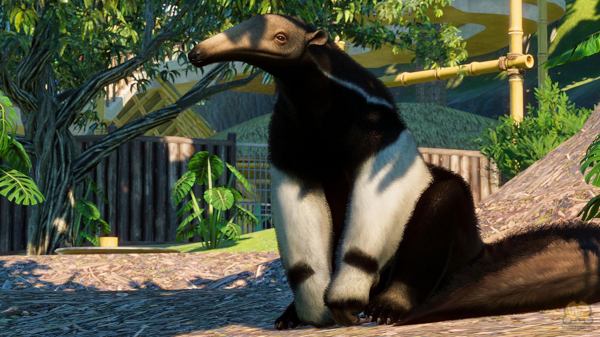 planet zoo next dlc planet zoo next dlc